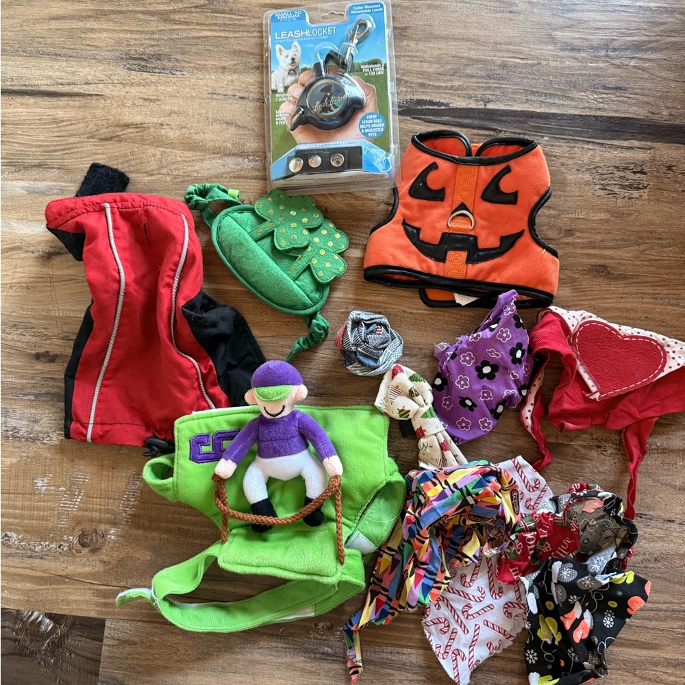 Small Dog Accessory Lot- bandanas, Harness, Jacket, Leash Locket. Fits10-12lbs